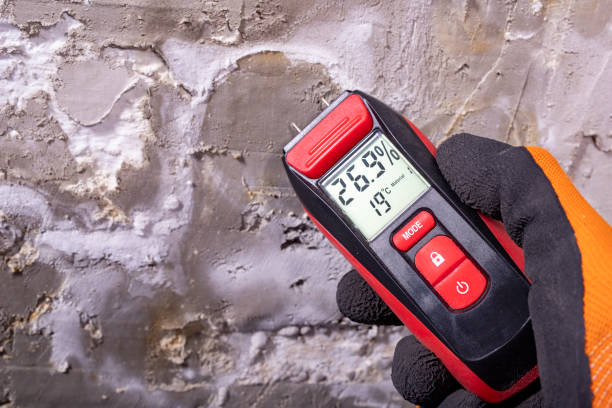 Best Post-Flood Mold Remediation in Sleepy Hollow, NY